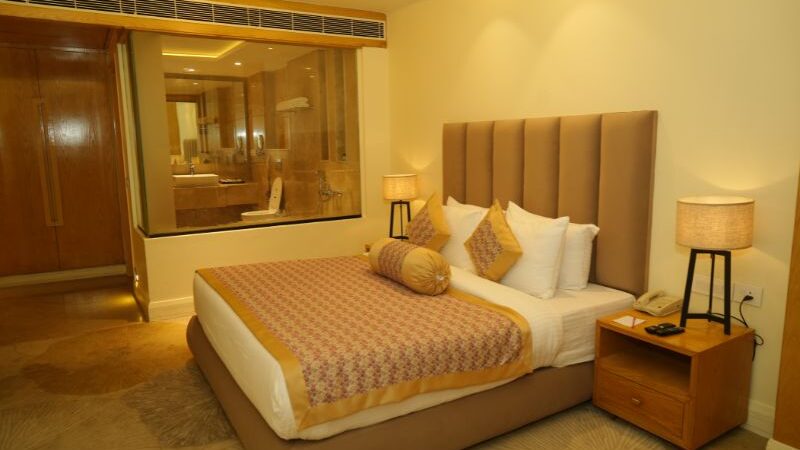 Hotel In Varanasi (1)