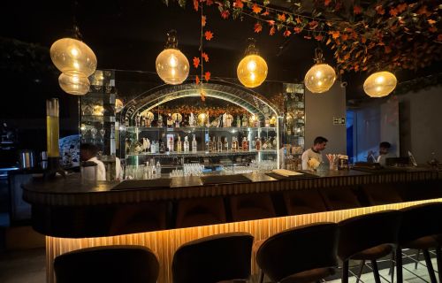 Best Bar in Varanasi (1)